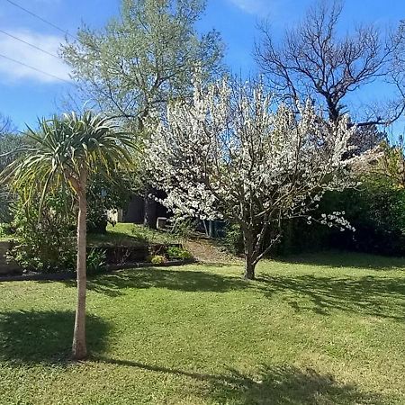 Appartements Dans Villa Privee Avec Piscine, Jardin, Parking Clos, Wifi, Climatisation Мерой Екстериор снимка